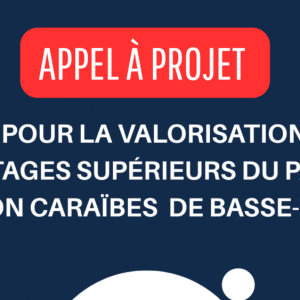 PROLONGATION jusqu'au 17 juillet Appel à Projet - valorisation des étages du parking Horizon-Caraïbes